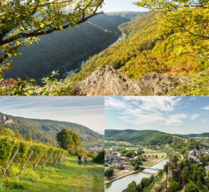 Collage aus drei Landschaftsaufnahmen aus Rheinland-Pfalz. 
