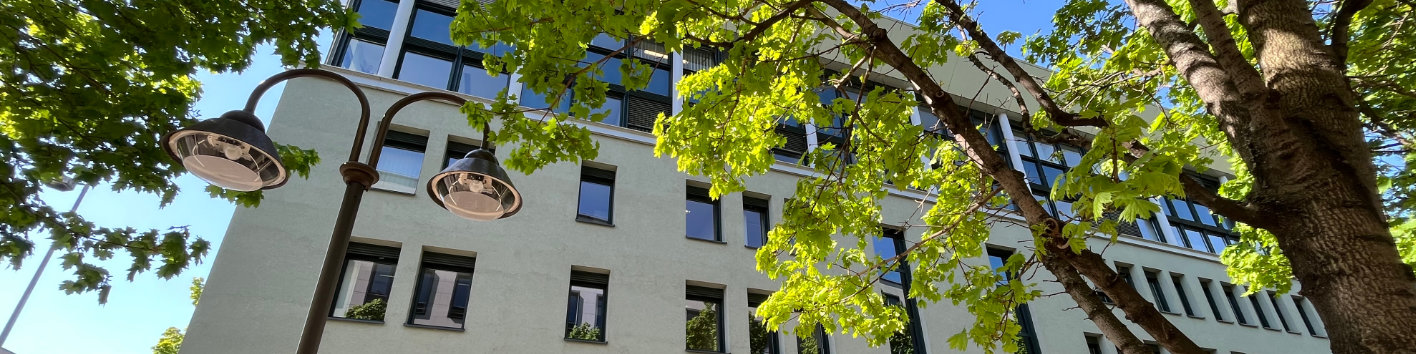 Gebäude des Finanzministeriums hinter einem Baum mit Blättern. 
